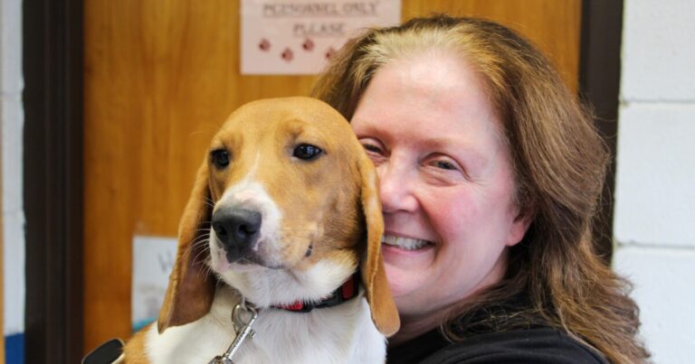 House committee opens hearings on bill to ban medical research on dogs