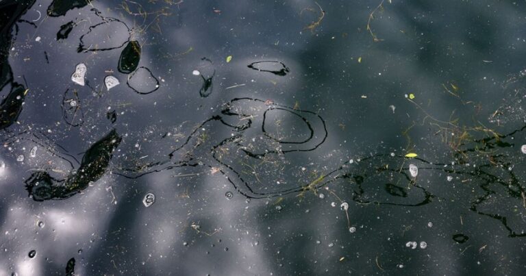 Michigan environment department hosting microplastics summit