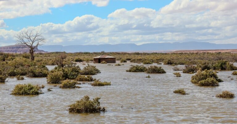 Major flooding washes out roads, strands residents on Navajo Nation