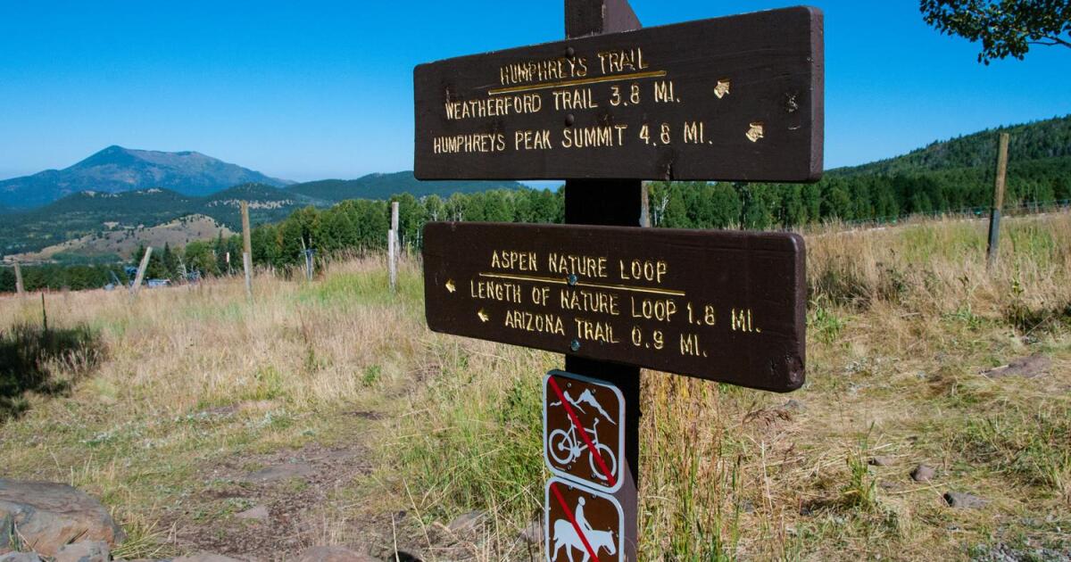 2 men struck by lightning on Humphreys Peak Trail