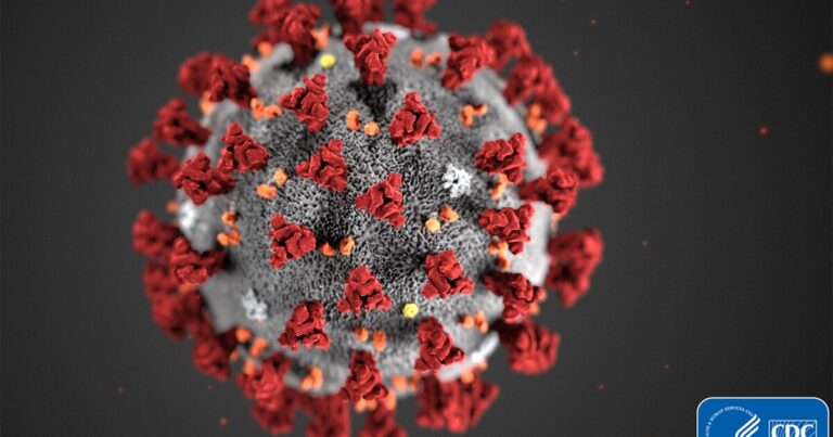 UA, pharmaceutical company partnership leads to new medical development against coronavirus