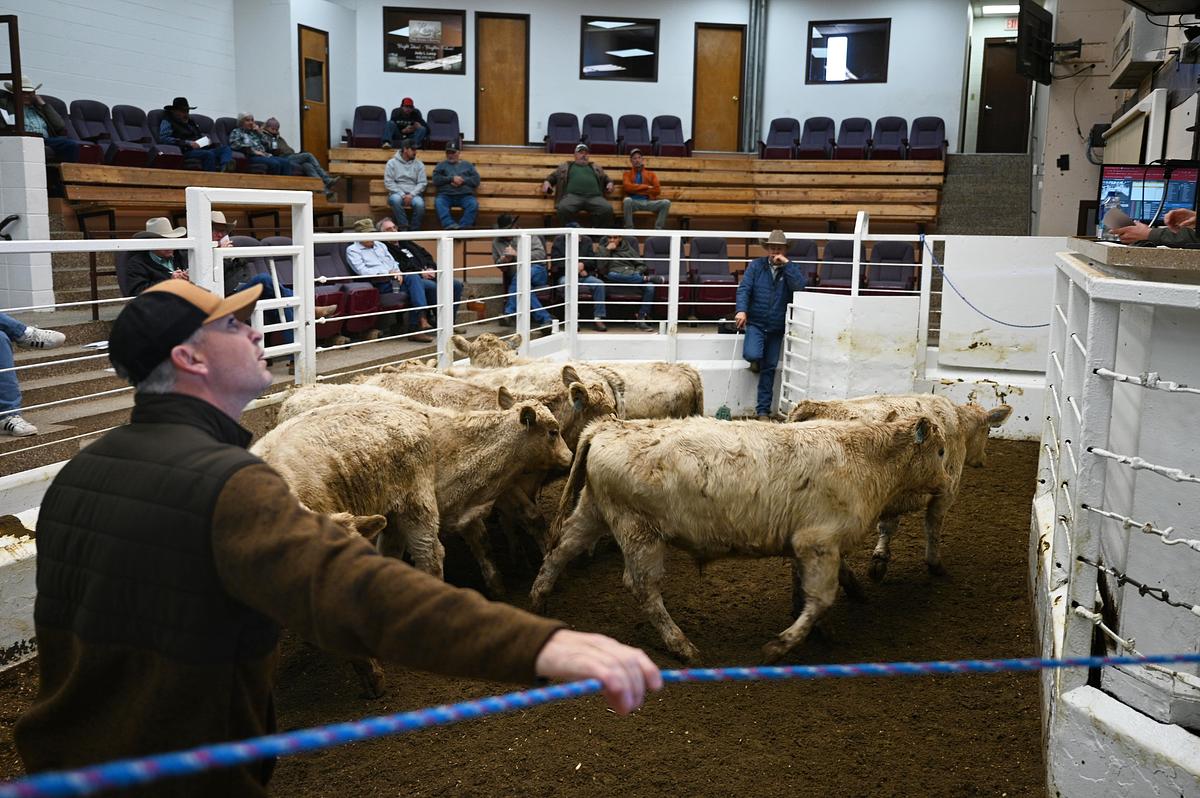 Lauren Miller, Montana Free Press, CatchLight Local/Report for America
