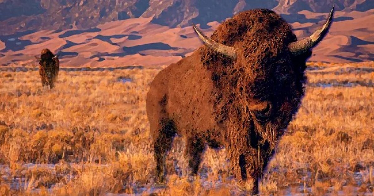 Clovis Cultures Brief Flourish Linked to Ice Age Megafauna Extinction - Kitchen Table News Earth Notes: Clovis Culture and Megafauna