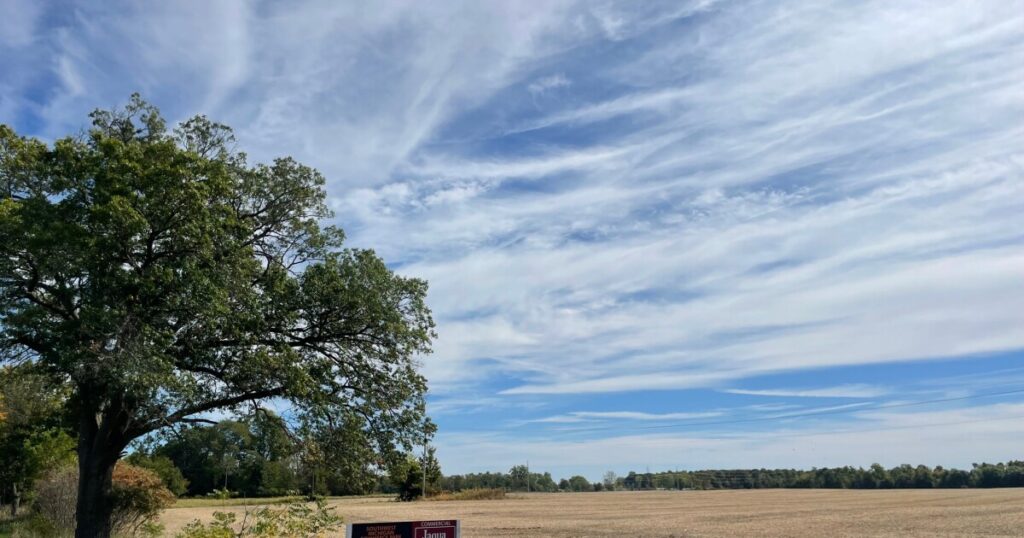 What you need to know