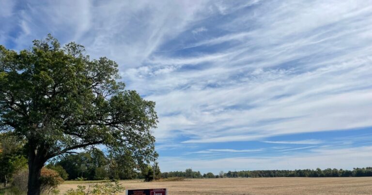 What you need to know