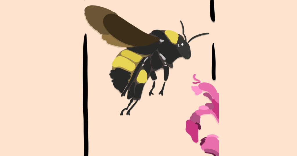 4 stories about bugs from The Show to ease your insect ick