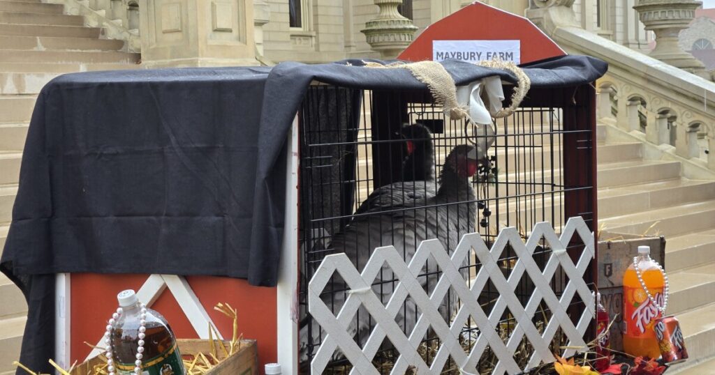 Gov. Whitmer signs laws, pardons turkeys