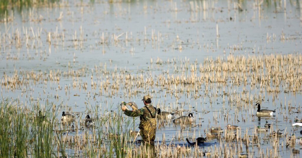 Michigan DNR urges waterfowl hunters to protect themselves from bird flu