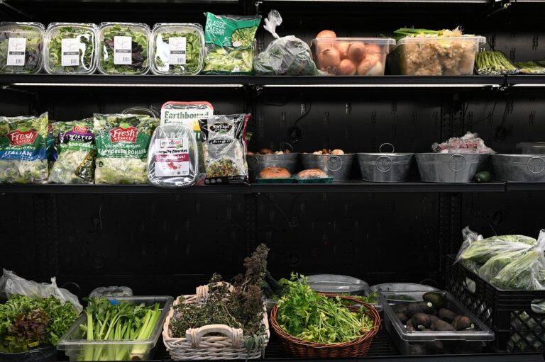 Lauren Miller, Montana Free Press, CatchLight Local/Report for America