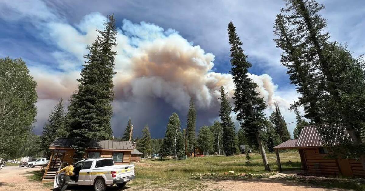Arizona Leaders Urge Legal Review of Federal Wildfire Mitigation Cuts - Kitchen Table News Western leaders demand probes into wildfire mitigation cuts