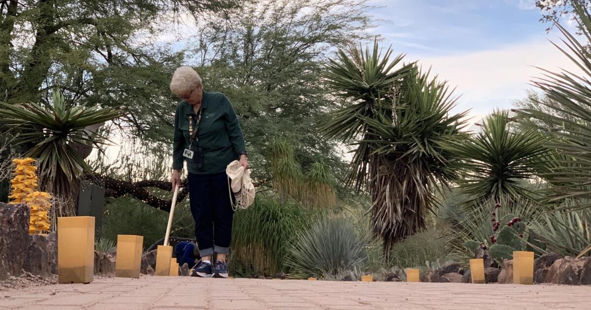 Discover Holiday Events and Gift Ideas in Phoenix This December - Kitchen Table News Looking for experiences instead of stuff this holiday? Here are 4 ideas in metro Phoenix