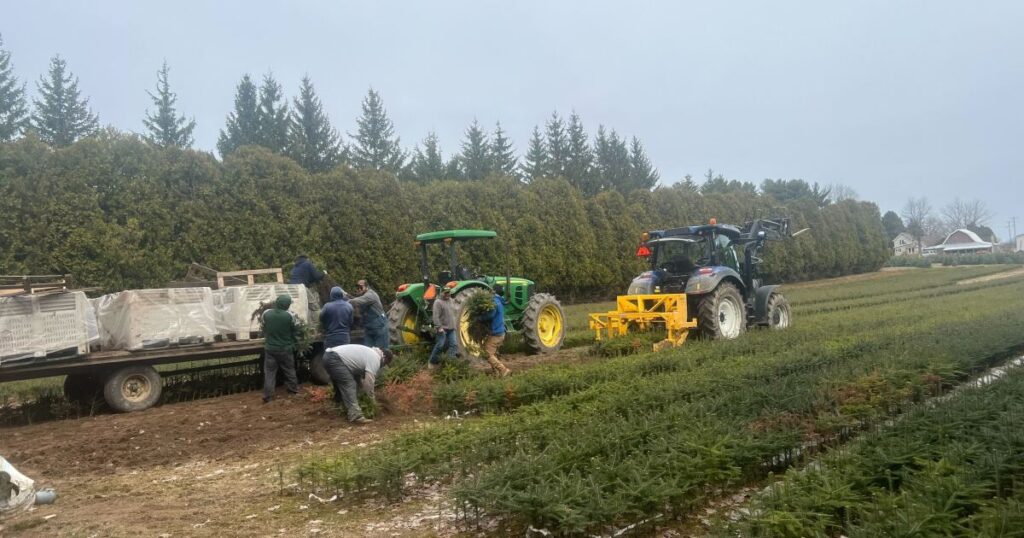 Farmworkers, some in Michigan, sue Trump Administration for new rule that’s cutting wages