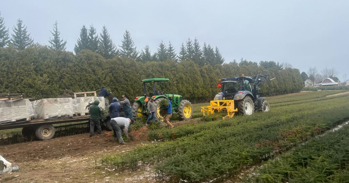 Farmworkers Sue Trump Administration Over Wage Cuts for H-2A Visas - Kitchen Table News Farmworkers, some in Michigan, sue Trump Administration for new rule that’s cutting wages