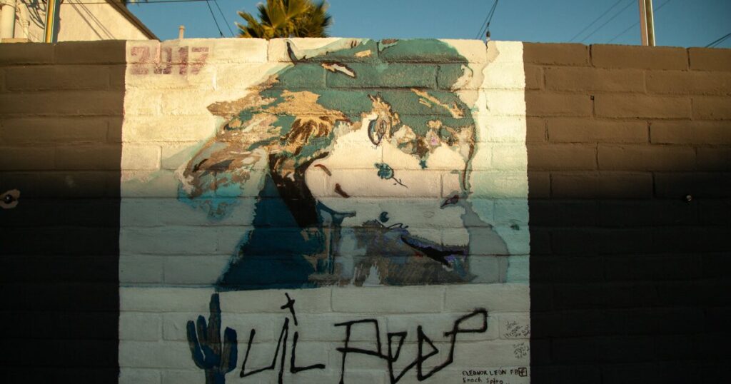 Lil Peep's mom is trying to help save the Tucson venue where her son died