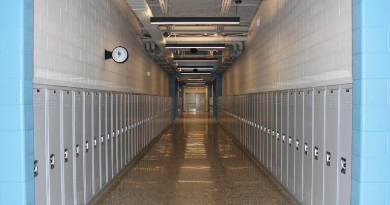 Michigan schools in court over trading legal privileges for safety funding