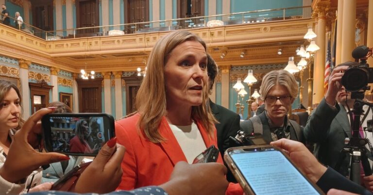 Michigan Senate majority leader reflects on a year of divided government in Lansing