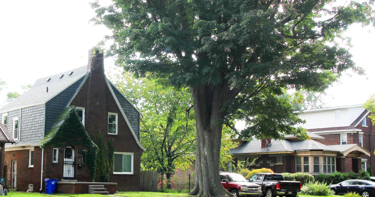 MI House speaker wants property tax questions on ’26 ballot