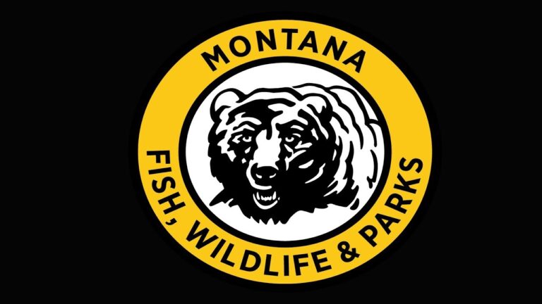 FWP investigating multiple deer left to waste