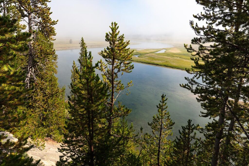 The year on the water, wildlife, energy, climate and public lands beat