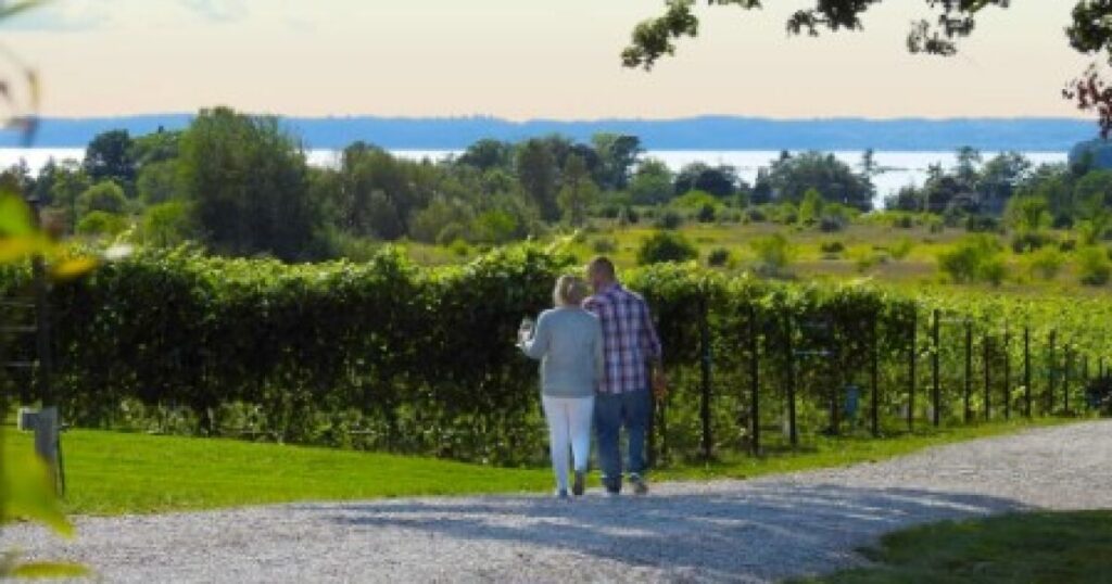 Wineries pursuing payment of $50M judgment from Northern Michigan township