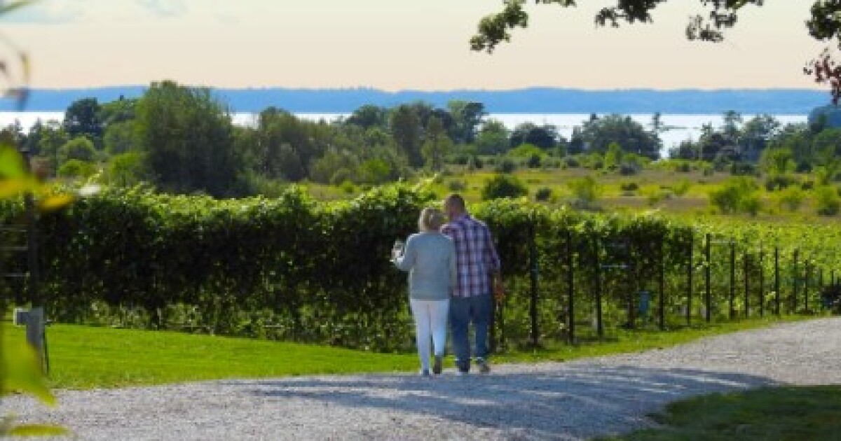 Northern Michigan Wineries Seek M Judgment from Peninsula Township - Kitchen Table News Wineries pursuing payment of $50M judgment from Northern Michigan township