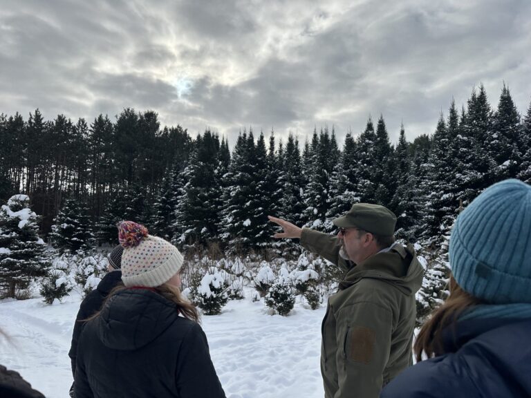 Wisconsin Christmas tree farm is feeling the burden of rising costs