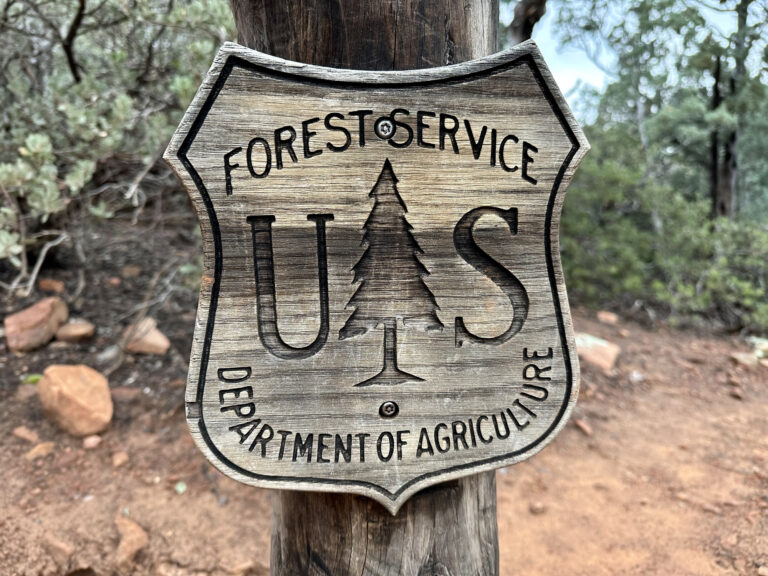 Montana delegation praises renewal of Secure Rural Schools funding • Daily Montanan