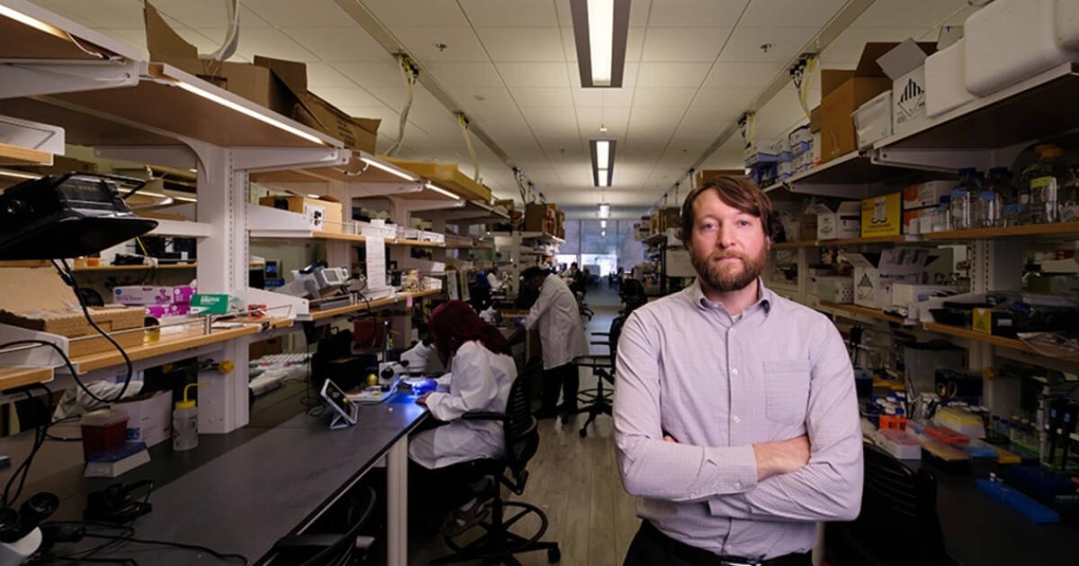 University of Arizona researchers develop AI device to detect frailty in older adults