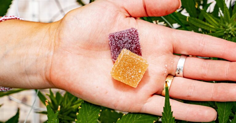 Wayne State launching "groundbreaking" research on using cannabis to treat veteran PTSD