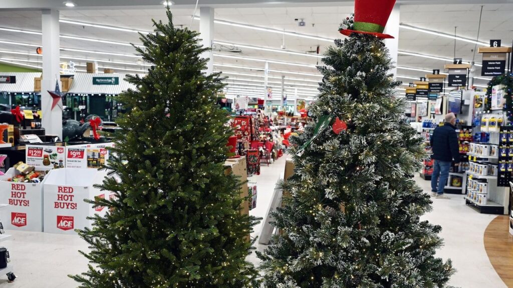 Tariffs Drive Consumers Toward Cheaper Real Christmas Trees