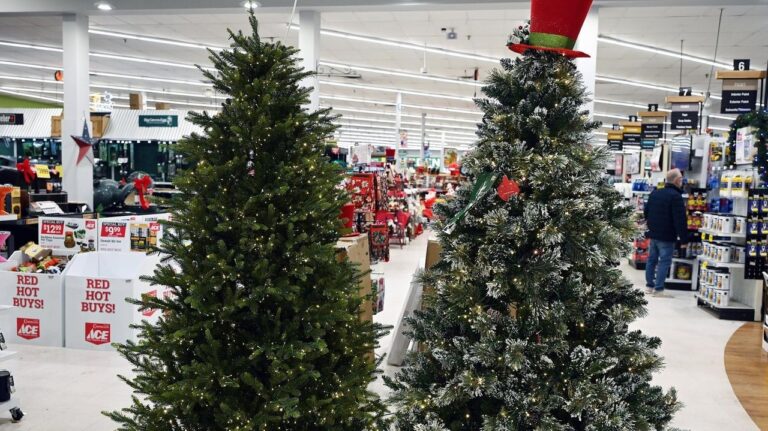 Tariffs Drive Consumers Toward Cheaper Real Christmas Trees - Kitchen Table News Tariffs Drive Consumers Toward Cheaper Real Christmas Trees