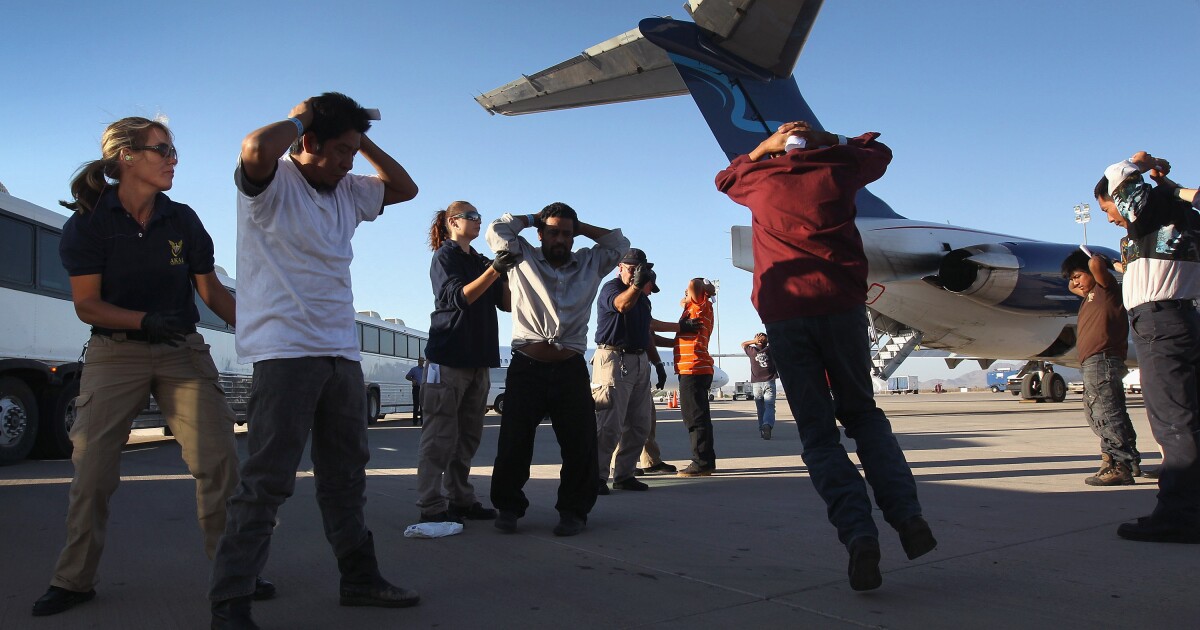 Avelo Airlines Ends ICE Deportation Flights Amid Scrutiny and Costs - Kitchen Table News New report shows Avelo Airlines operated 1,900 flights for ICE between May to December 2025