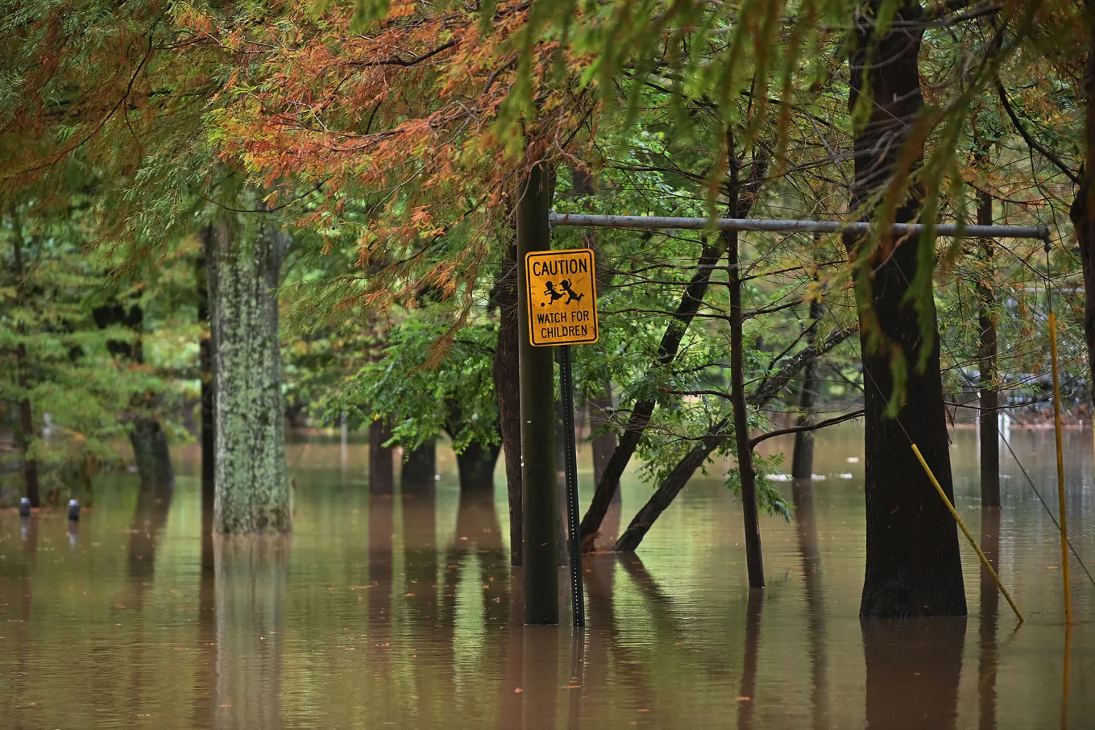 Emergency Child Care Network Aids Families During Disasters and Crises - Kitchen Table News She offers free child care after disasters. It’s a lifeline as families rebuild their lives.
