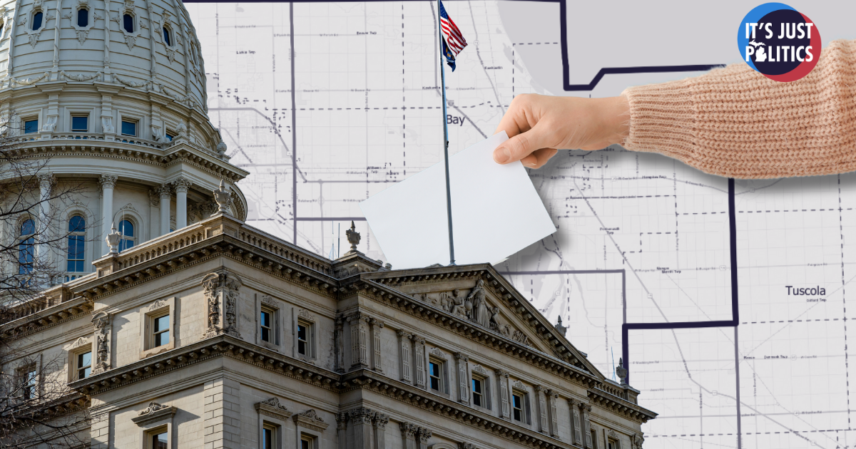 Michigans 35th Senate District Special Election High Stakes Ahead - Kitchen Table News Why is there a special election in Michigan’s 35th Senate District?