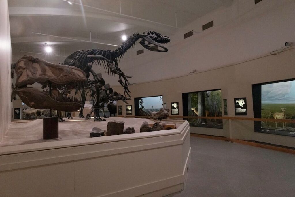 Michigan museums seen as nonpartisan spaces in a divided nation