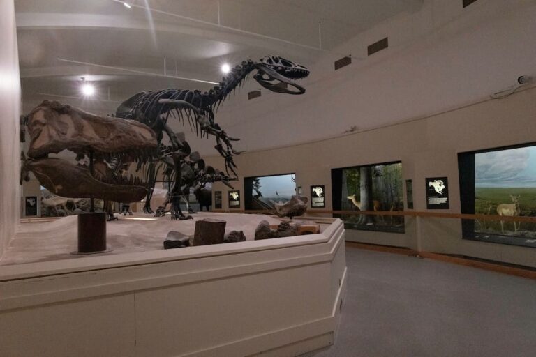 Michigan museums seen as nonpartisan spaces in a divided nation