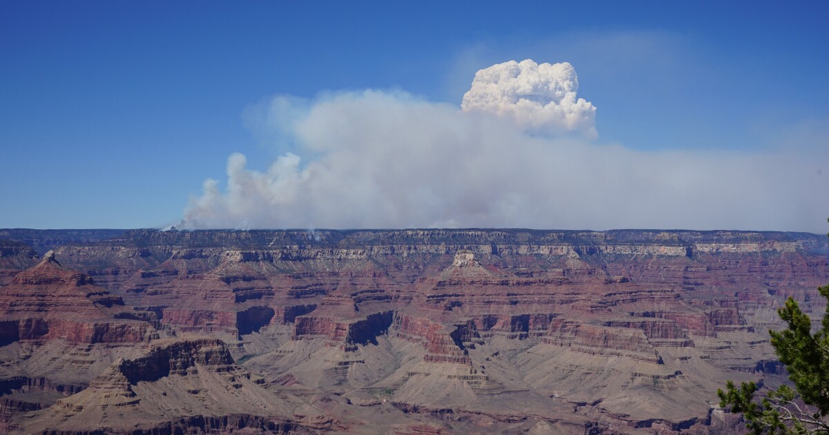 Park Service releases executive summary of Dragon Bravo Fire impacts