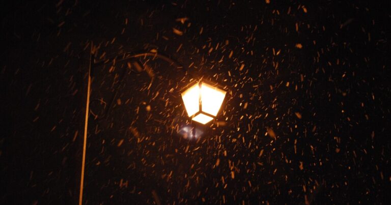 Why Night Lighting Draws Winged Insects