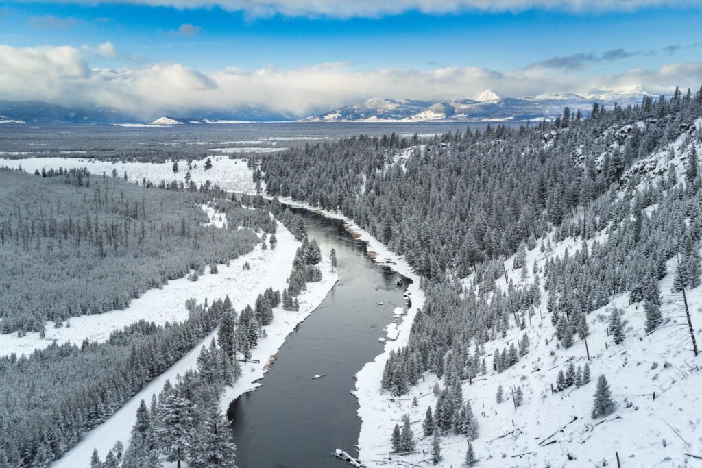 Warming summers force early fishing closures. Yellowstone is making a shift.
