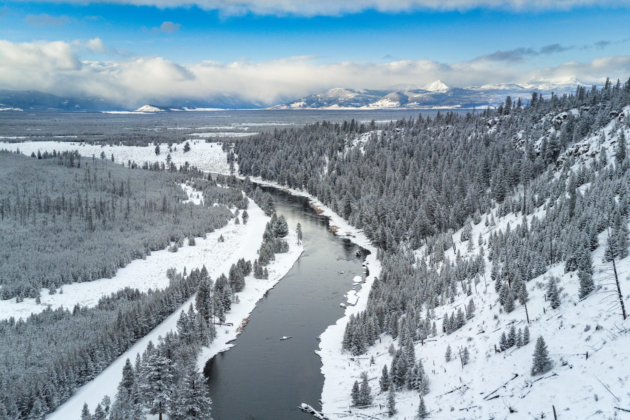 Warming summers force early fishing closures. Yellowstone is making a shift.