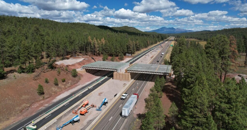 Earth Notes: 1-17 Wildlife Crossing