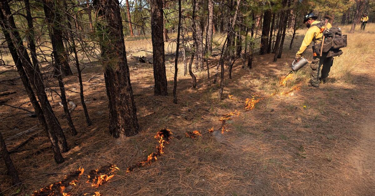 Near normal fire potential forecast for northern Arizona, much of the West