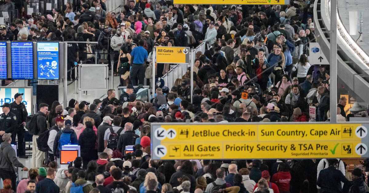 ICE Agents to Assist TSA at Airports Amid Government Shutdown - Kitchen Table News ICE officers set to deploy to airports as delays mount, border czar Homan confirms