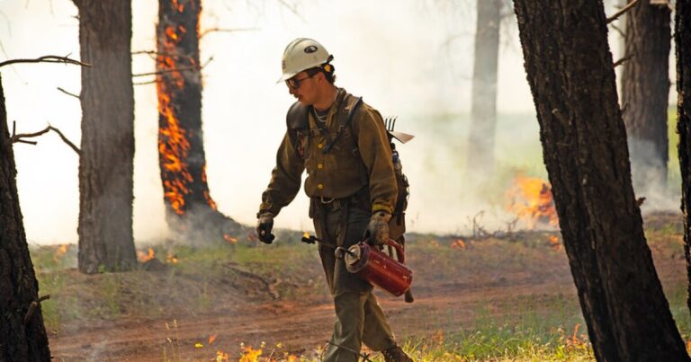 Crews set to begin prescribed burns on North Kaibab