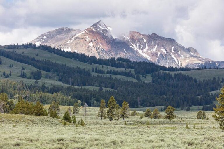 Majority of Montanans say there’s about the right amount of federal land in new poll