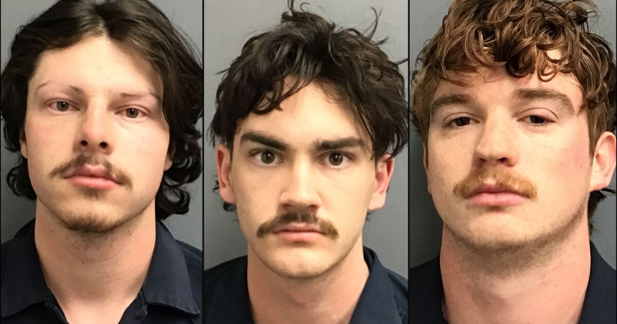 NAU Student Indicted for Hazing in Fraternity Pledges Death - Kitchen Table News Grand jury indicts fraternity 'pledge master' in Flagstaff hazing death