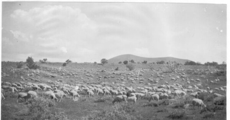 Earth Notes: Hoof Highways