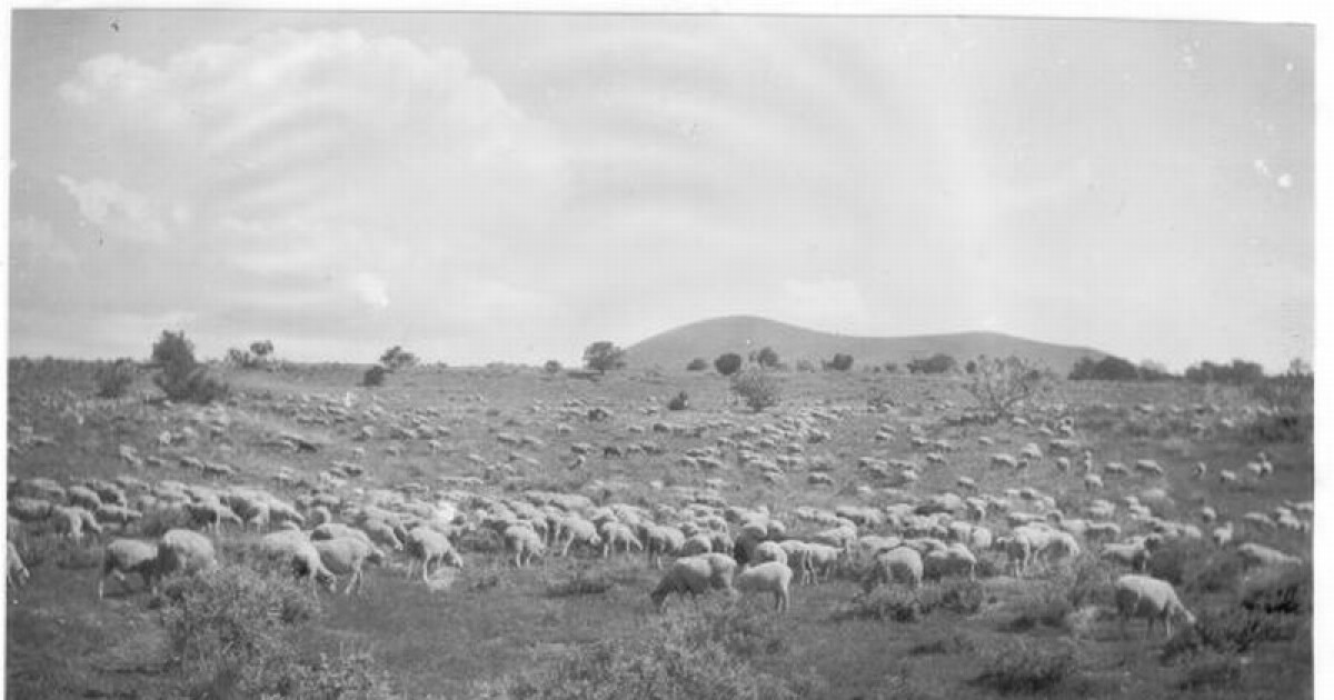 Earth Notes: Hoof Highways