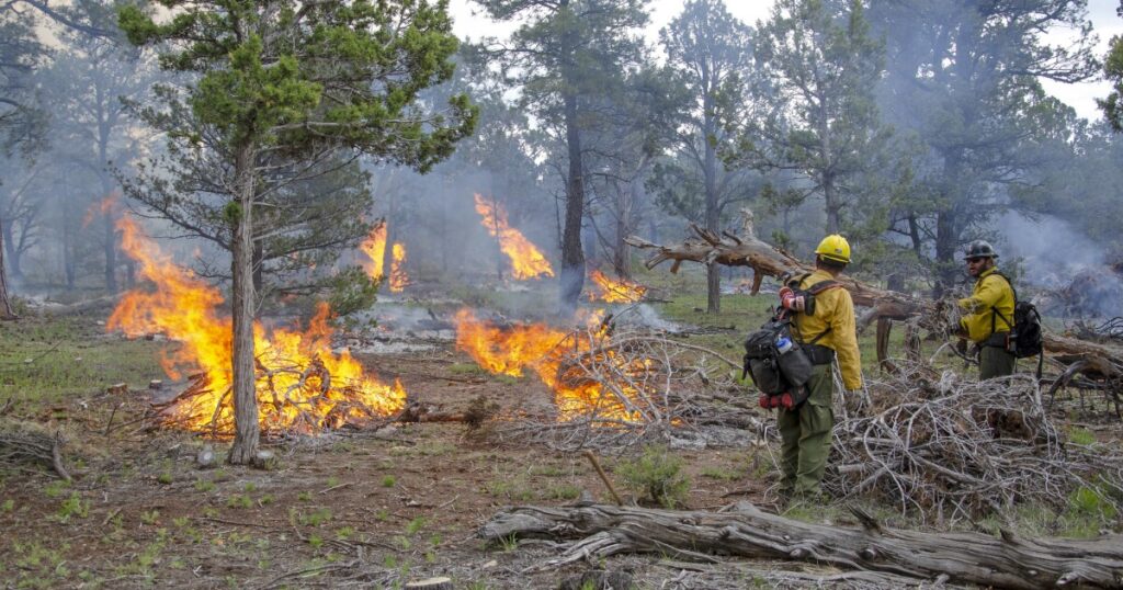 Bear Jaw fire team dissolves after two decades