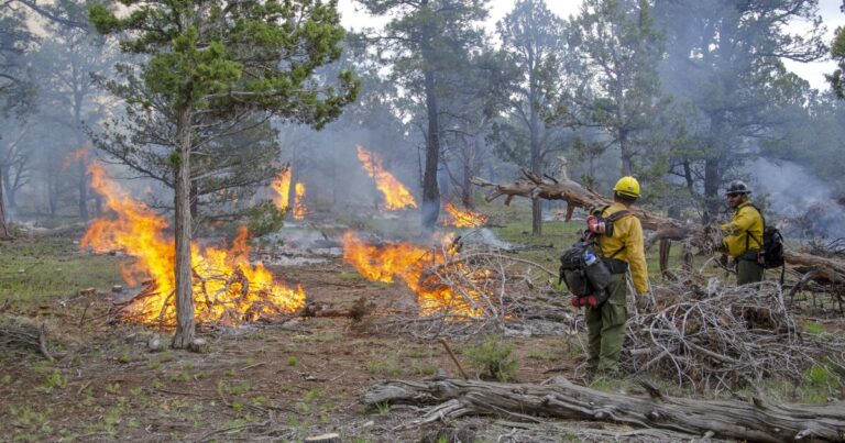 Bear Jaw fire team dissolves after two decades